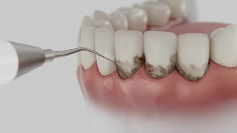 Reliable Dental contractor in Laurel Bay, SC by Dentist Open Now